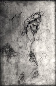 Études pour les figures du plafond de la chapelle Sixtine - Michelangelo Buonarroti